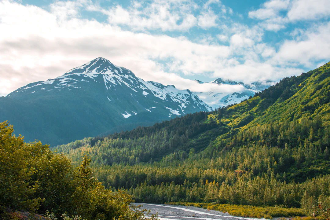 Green Alaska mountains with snow on the peaks